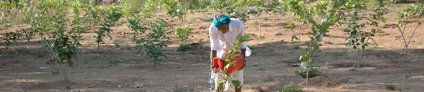 SSAAT is an independent society set up by the Department of Rural Development, Government of Telangana to conduct social audits of its flagship programme Mahatma Gandhi National Rural Employment Guarantee Scheme (MGNREGS).